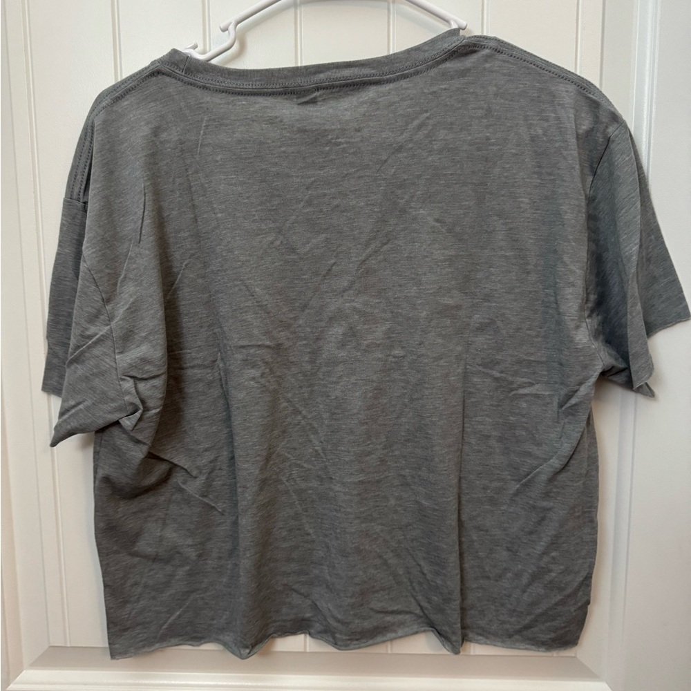 University of Florida Gray T-Shirt with Orange and Blue Alpha omicron Pi XL - Picture 4 of 4
